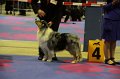 IMG_0141