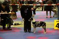 IMG_0147
