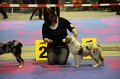 IMG_0154