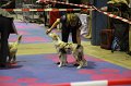 IMG_0160
