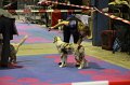 IMG_0161