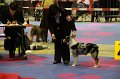 IMG_0162