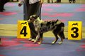 IMG_0171