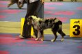 IMG_0172