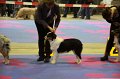 IMG_0173