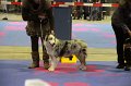IMG_0174
