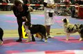 IMG_0175