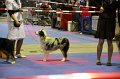 IMG_0176