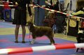 IMG_0177