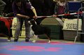 IMG_0178