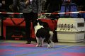 IMG_0182