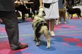 IMG_0183