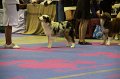 IMG_0185