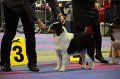 IMG_0188