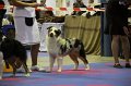 IMG_0189