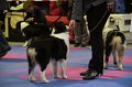 IMG_0190