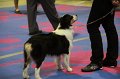 IMG_0191