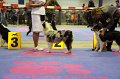 IMG_0195