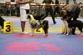 IMG_0196