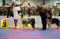 IMG_0199