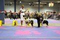 IMG_0200