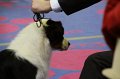 IMG_0205