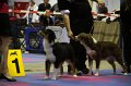 IMG_0206