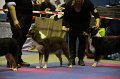 IMG_0207
