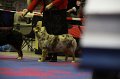 IMG_0209