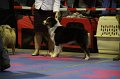 IMG_0211