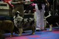 IMG_0218