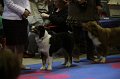 IMG_0219