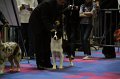 IMG_0220