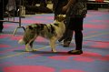 IMG_0223