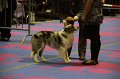 IMG_0224