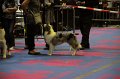 IMG_0225