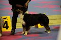 IMG_0233