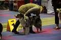 IMG_0234