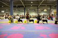 IMG_0238