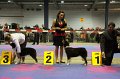 IMG_0243