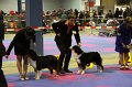 IMG_0263