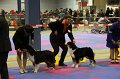 IMG_0264