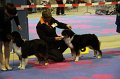 IMG_0268