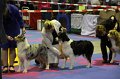 IMG_0271