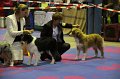 IMG_0273