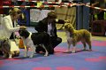 IMG_0274
