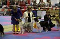 IMG_0281