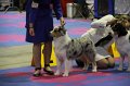 IMG_0293