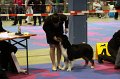 IMG_0294