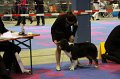 IMG_0295